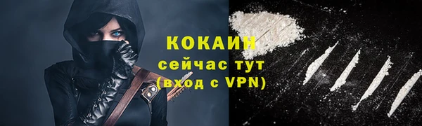 ГАЛЛЮЦИНОГЕННЫЕ ГРИБЫ Верея